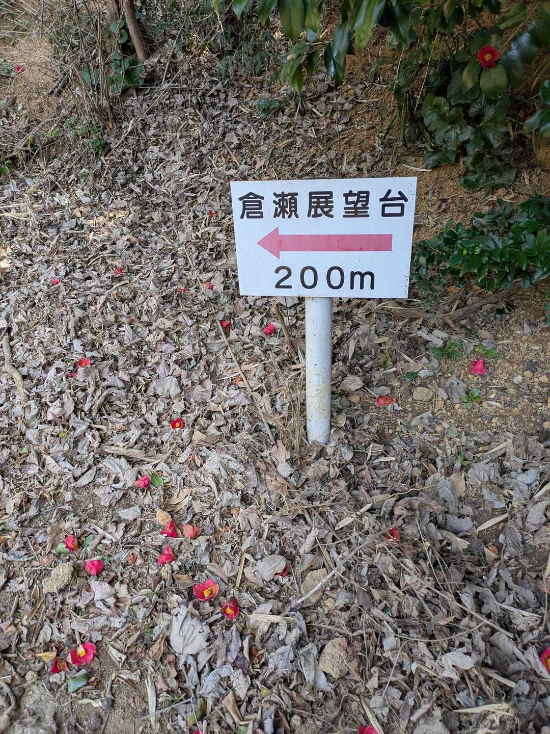 倉瀬もう直ぐ展望台。