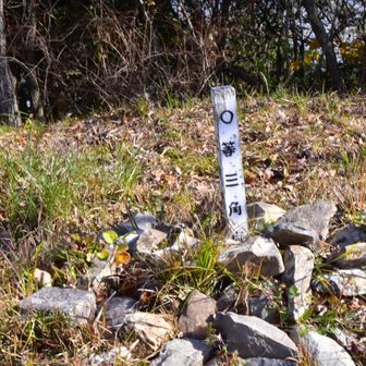 大麻山の三角点こんなとこにあった😆