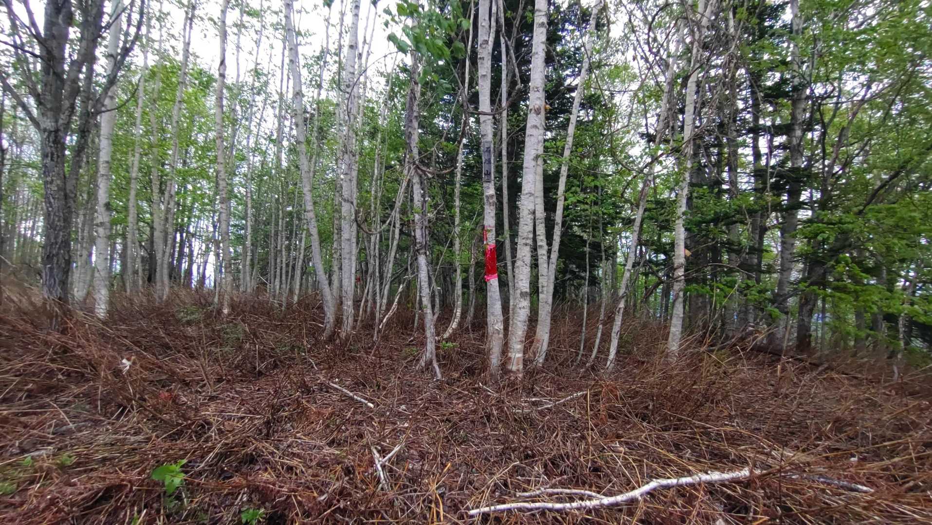石垣山山頂