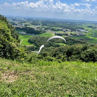丁度　飛んでいくところ見る事ができました。
かっこいい！
気持ち良さそう