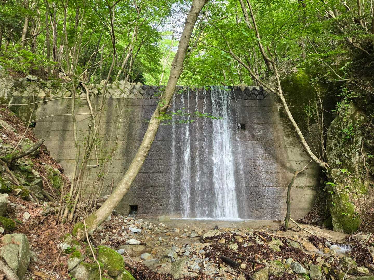 何だか涼しい🤭