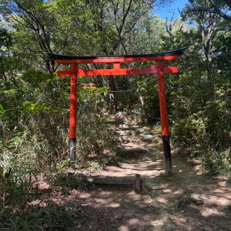やっと交野山に着いた