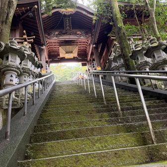 この階段も苔で結構滑る…😅