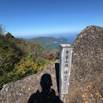 影自撮り📷