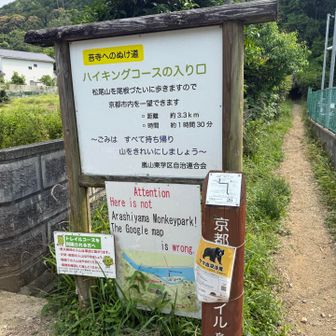 街まで下りてきました