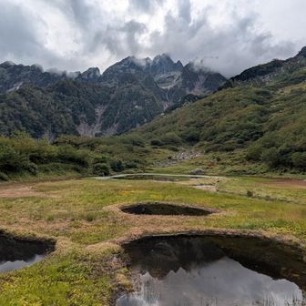 晴れてきたから、仲良くなった方と平の池の平を散策