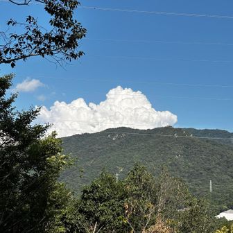 隣の呉娑々宇山🏔️モクモクと入道雲