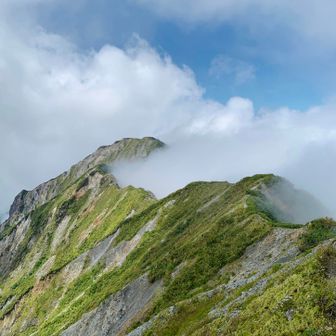元谷からもモクモク
弥山が見えた〜
