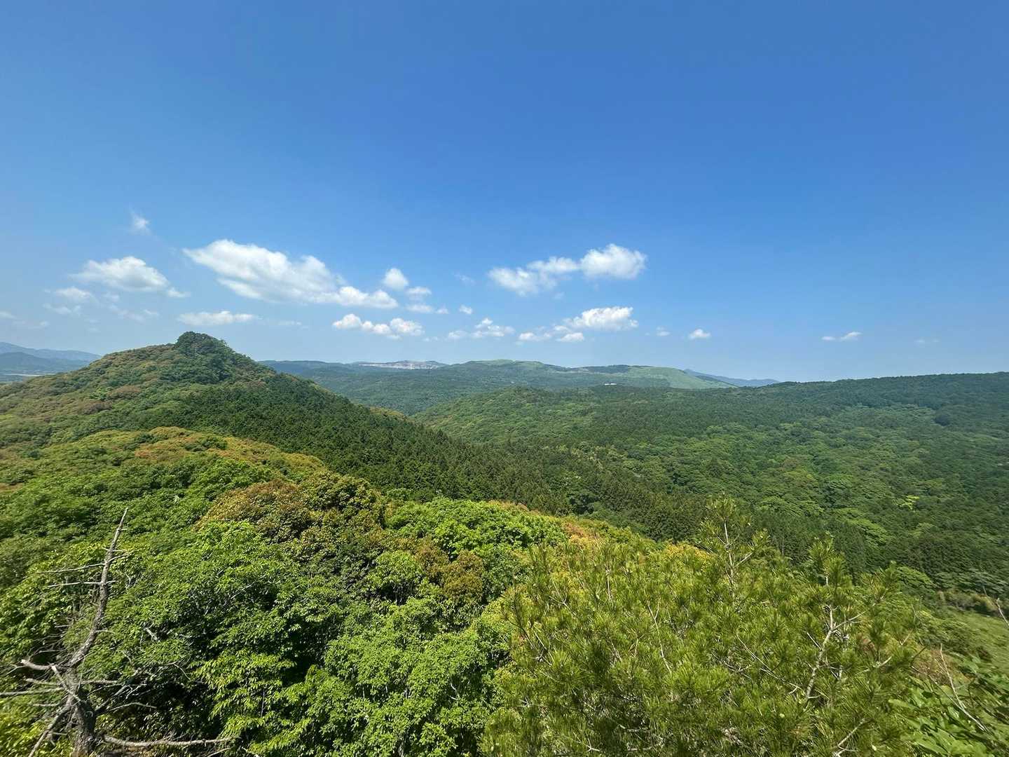 左側が大迫山、右奥に秋吉台