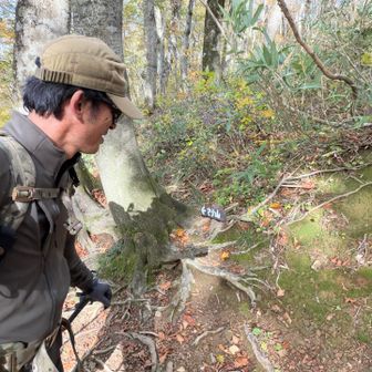 マテ山分岐
沢山の登山者とスライド
下山までに数えてみたら、21名！
昨日、お二方との話の中で、白神岳はリピーターが少なくて登山者が少ないと仰ってましたが、そんな事無い
リピーターになりましたー
また来ます―