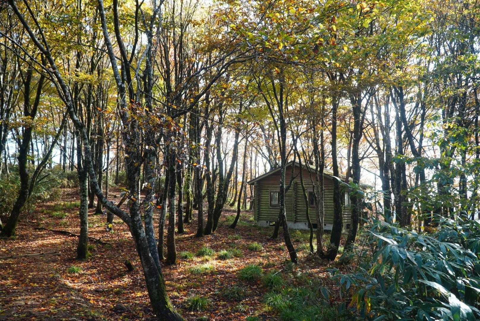 山頂から少し下った所に小屋があるらしいので見学へ🛖