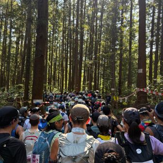 はい渋滞