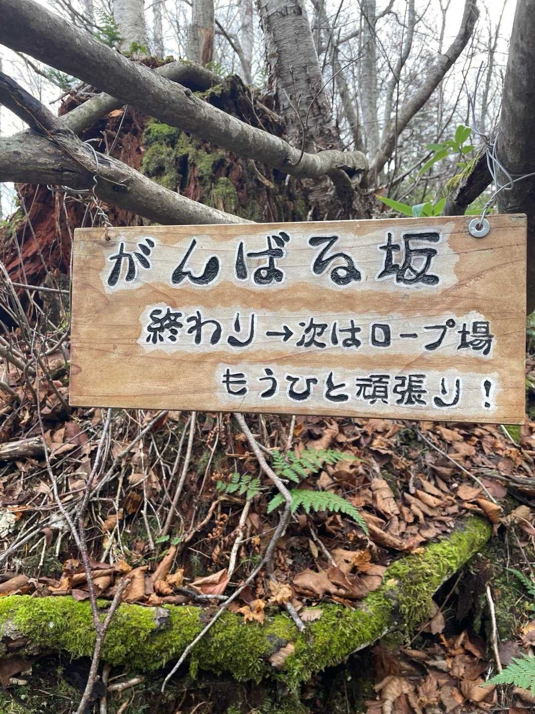 終わり😮‍💨