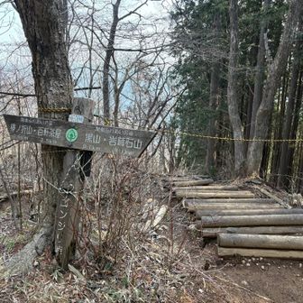 ゴンジリ峠。
このままだとさわらびの湯開店前に下山しそうだったので、黒山という山へ寄り道します