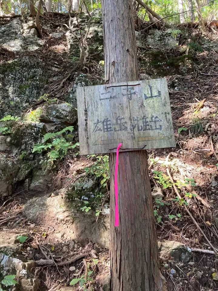 二子山（横瀬二子山雄岳）の写真