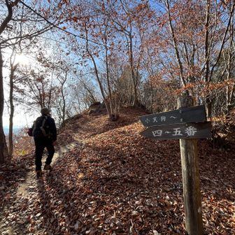私はジジババパワーさんと小天狗まで行きます
(  •̀ •́ )୨⚑︎゛