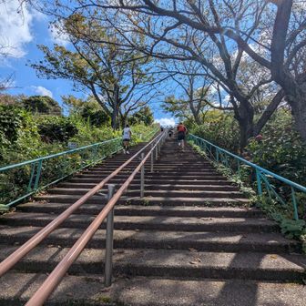 生駒山上遊園地への階段。
足がヤバくなってきた…。