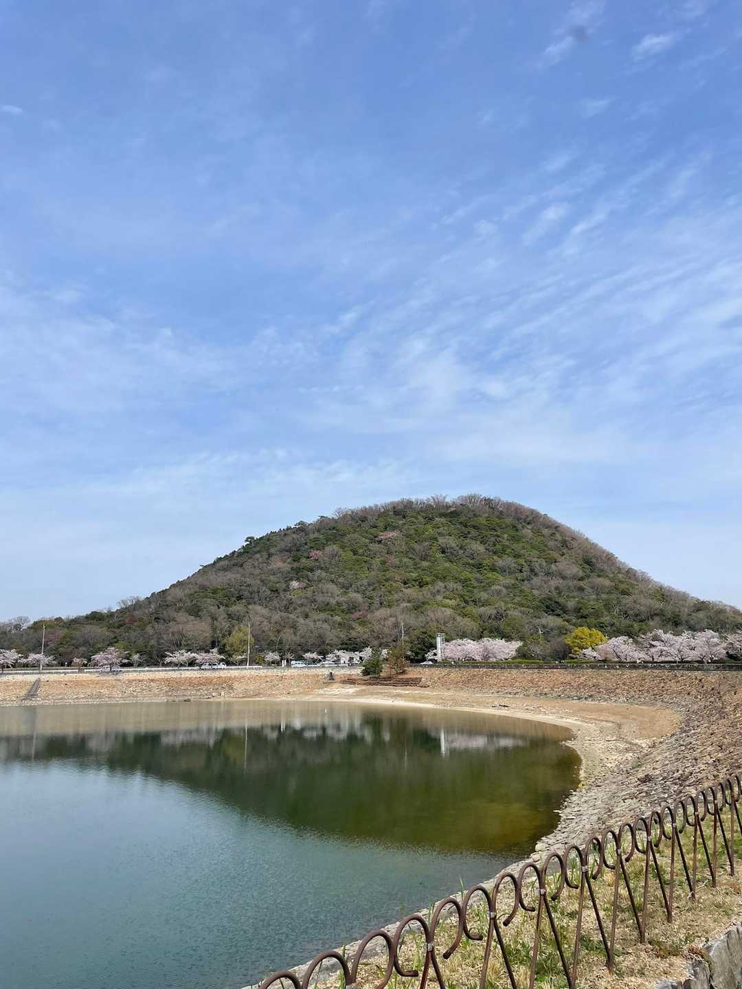 眺めるだけで登りません。