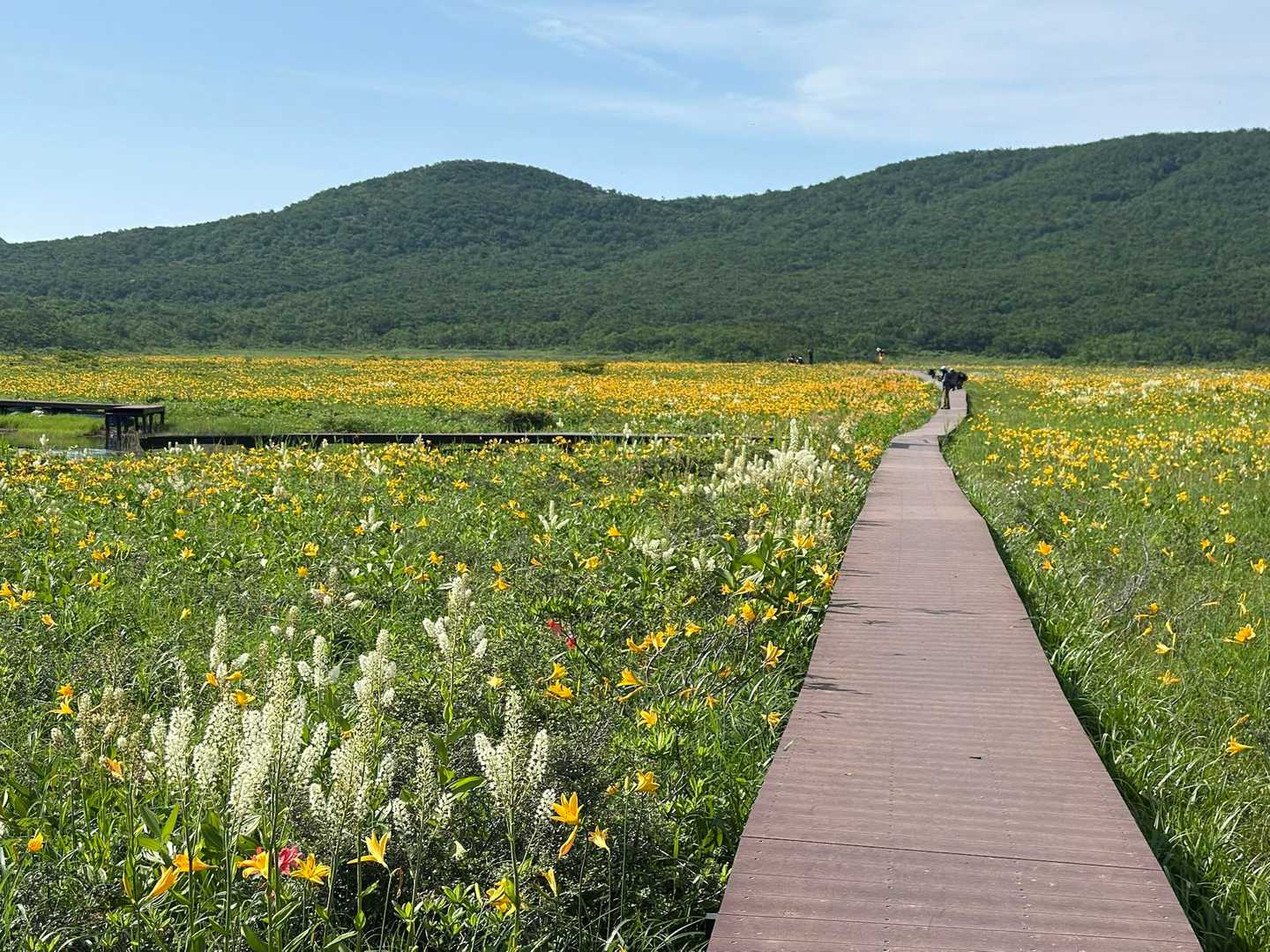 八方台登山口-猫魔ヶ岳-金沢峠 周回コースの写真