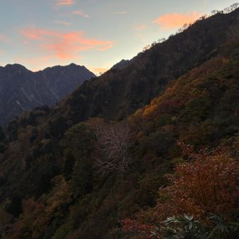 明るくなってきて秋の色が現れ始めました。