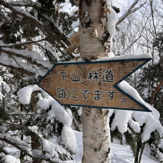 下山は登り返しを回避したいので林道をうまく利用しつつ自分たちのトレースへ合流する様に進みました