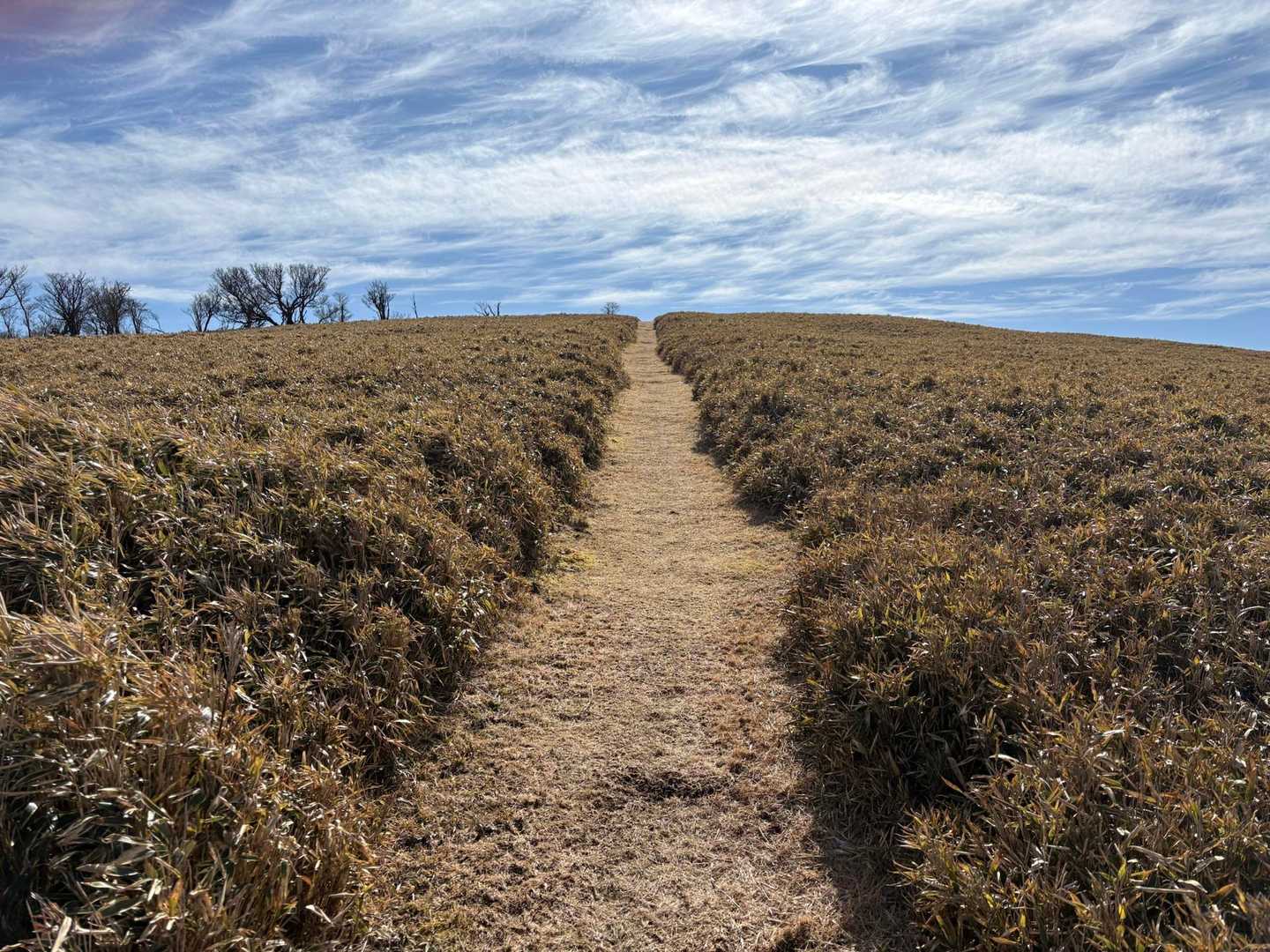 素晴らしい登山道👍