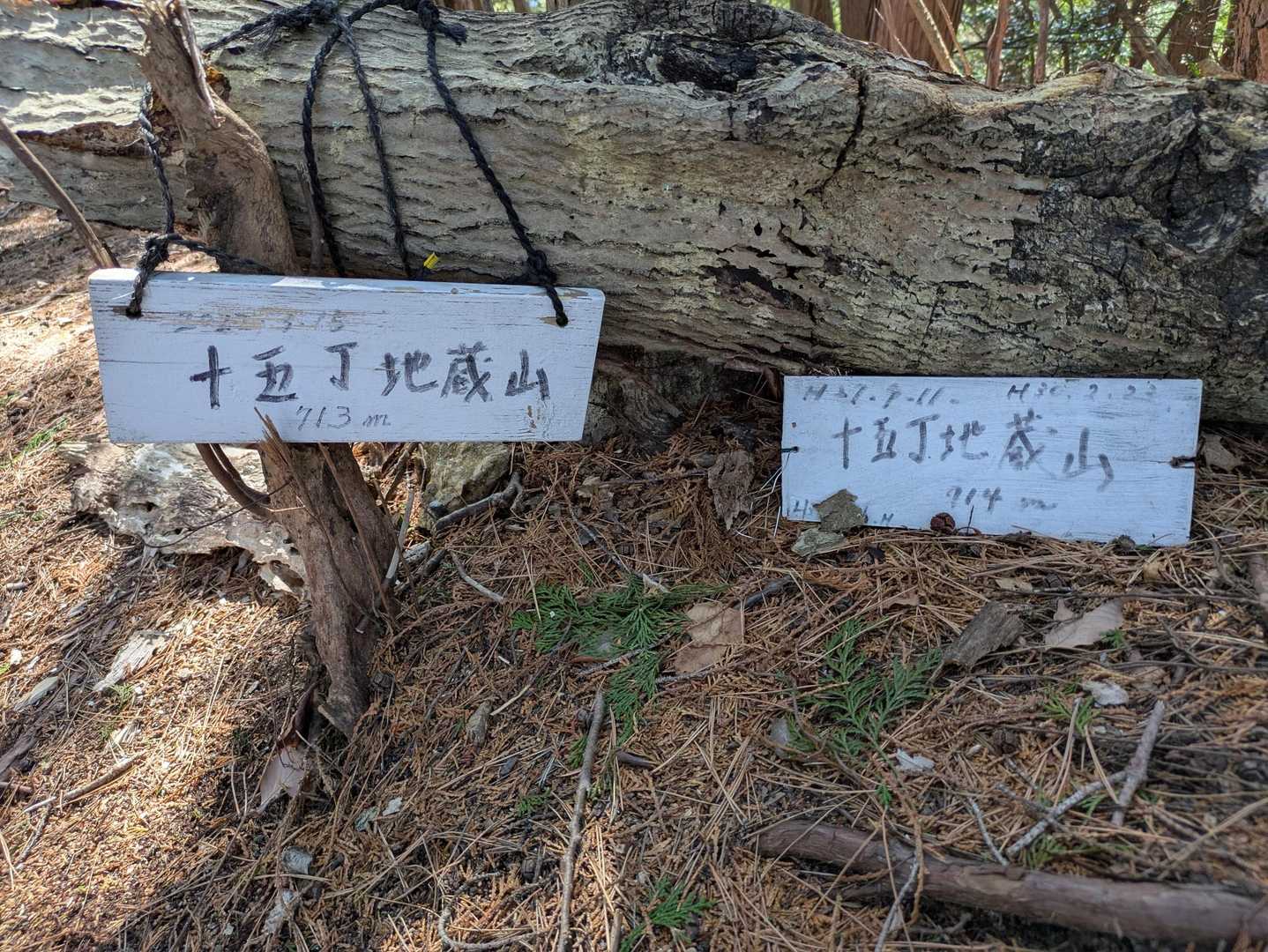 滝畑登山口-ボテ峠-施福寺-猿子城山 周回コースの写真