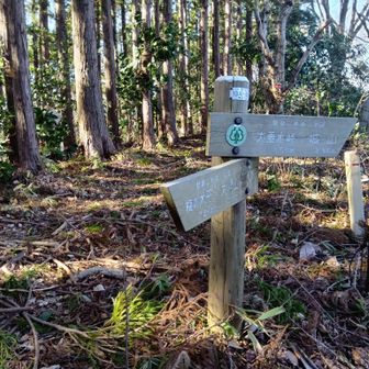 進むのは右だけど、ここを左手にまっすぐいくとピ-クあり。ヤマップのピ-ク表示違う。