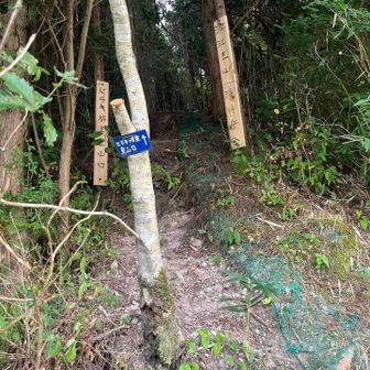 こっちの登山口