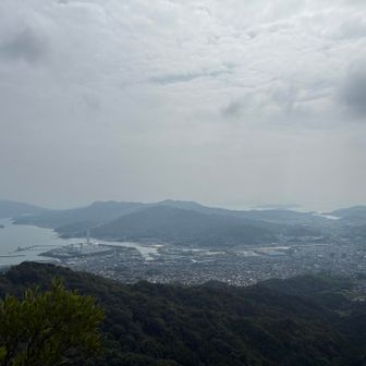 今日いちばんの眺望。以降、下山まで延々と蜘蛛の巣地獄でした。次々と眼前に現れる巨大蜘蛛の巣をストックで何十と仕留めながら進む。体力よりもメンタル削られる。先日スパイダーマン観て蜘蛛には親近感あったのに認識を改める必要がある。