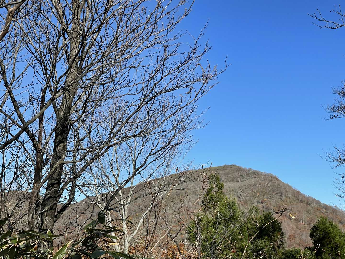目指す金糞岳