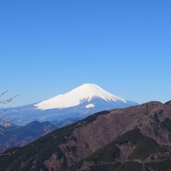 コジコメ