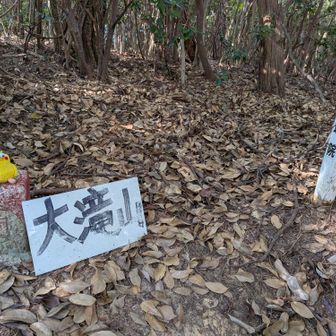 ⑥🚩大滝に登頂です🙌ヽ(=´▽`=)ﾉ
四等三角点もありました♪