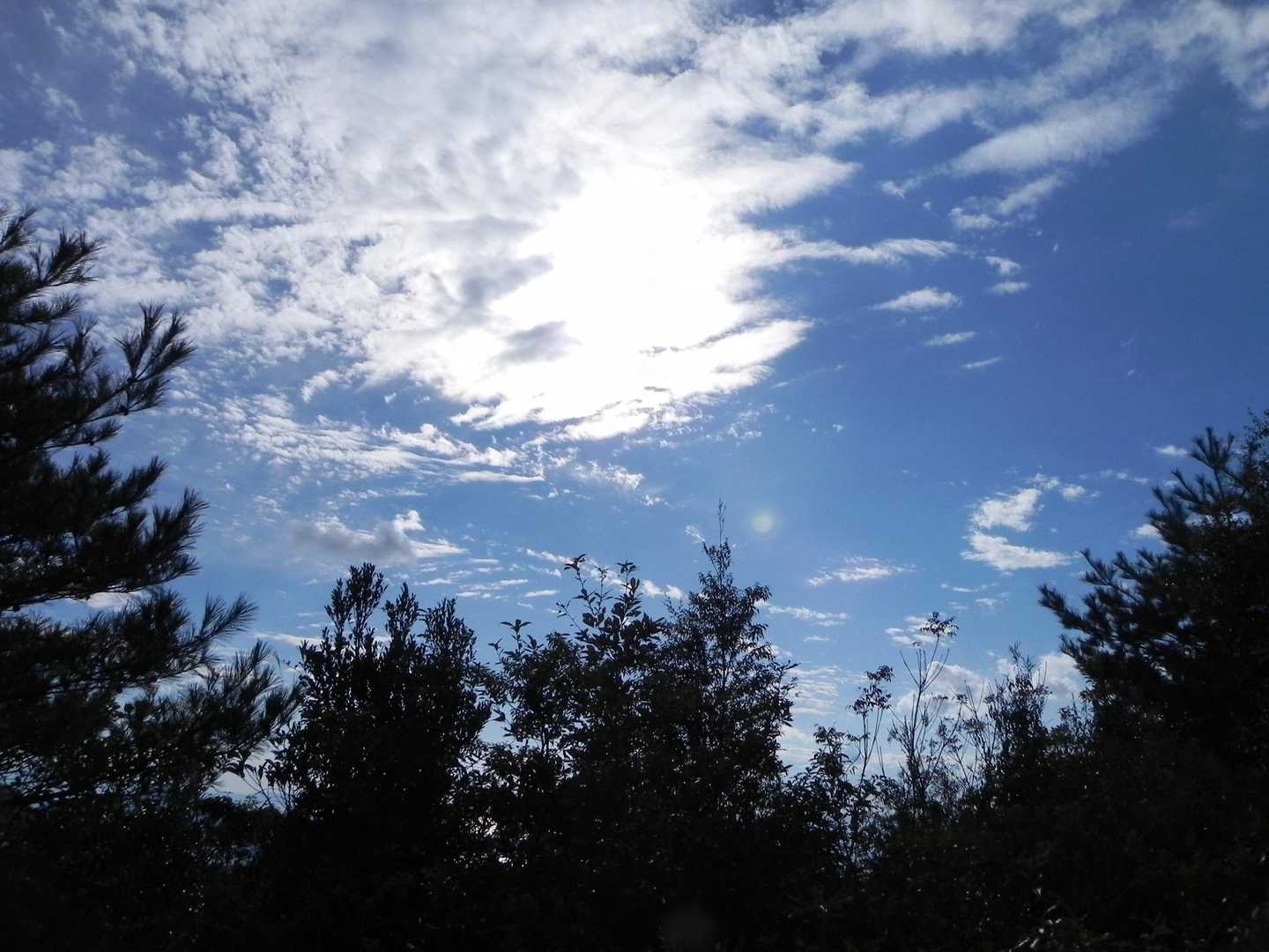 太陽きらりん☀️

雨は全く降りません。
雨雲レーダー見たけど、降らなさそうだ