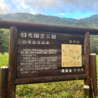 入り口の看板