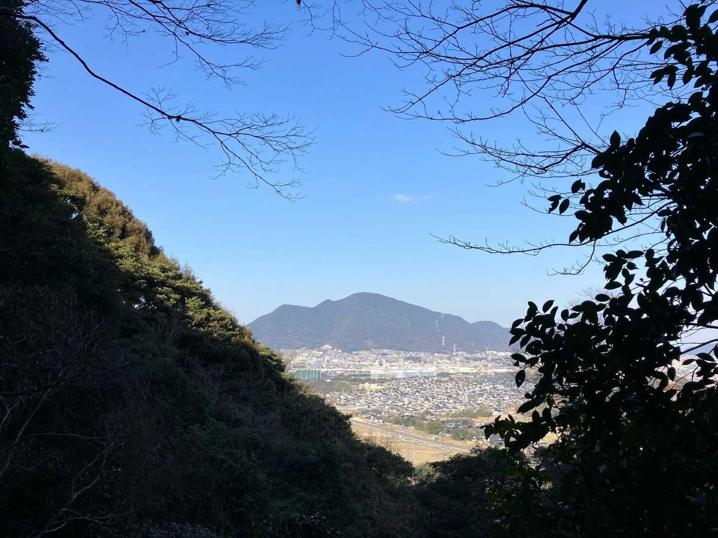 金の神様から