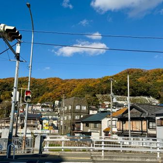 良いお天気☀️
