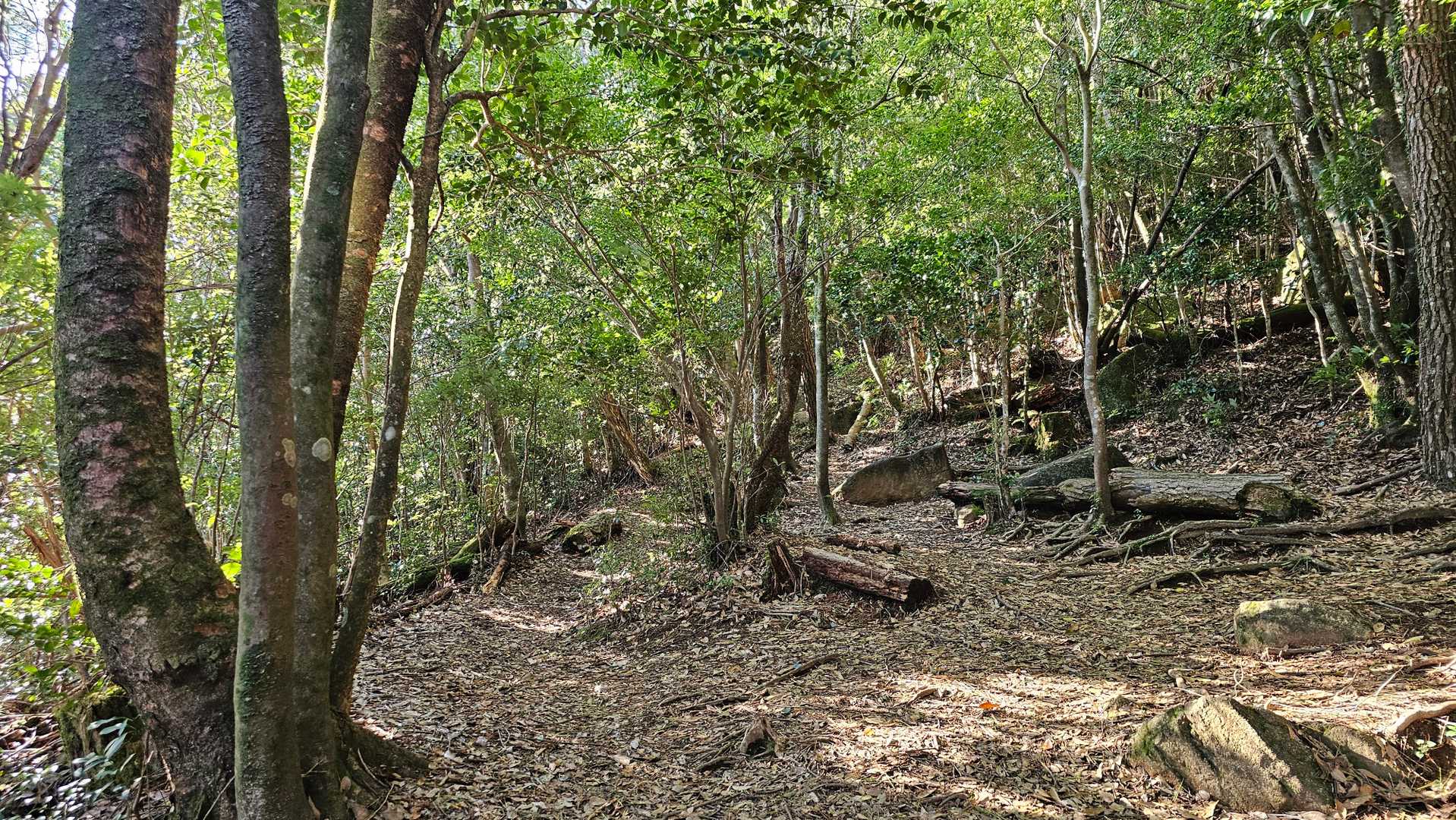 行縢山登山口-行縢山 往復コースの写真