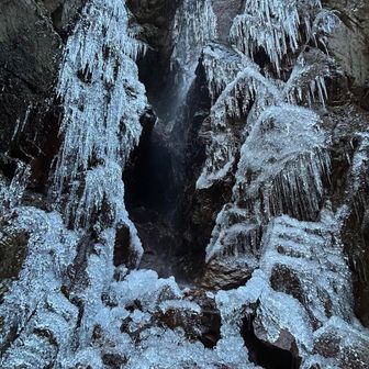 まあまあ凍ってました🧊
