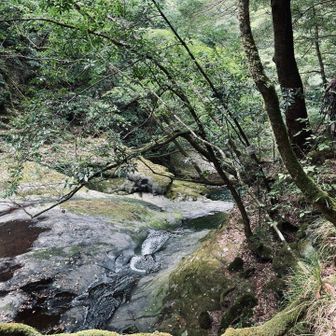 留まらない水が岩を削ることで、流れという留まらないものの形がみえてくる。微分積分グラフのようだ！