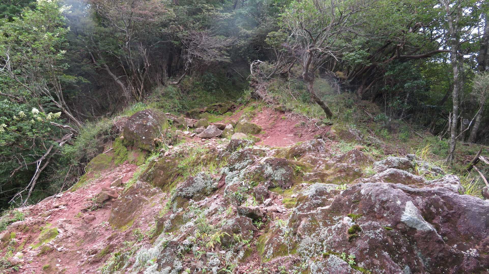 別所登山口-奉幣殿-鬼杉-英彦山 周回コースの写真