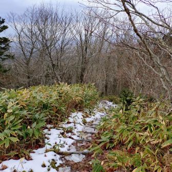 こっちは火葬場口へ
名称は忌ですが地図を見ると
馬追温泉口へ道道を歩いて戻れます
ピストンでは味気ないのでこちらへ下山します
