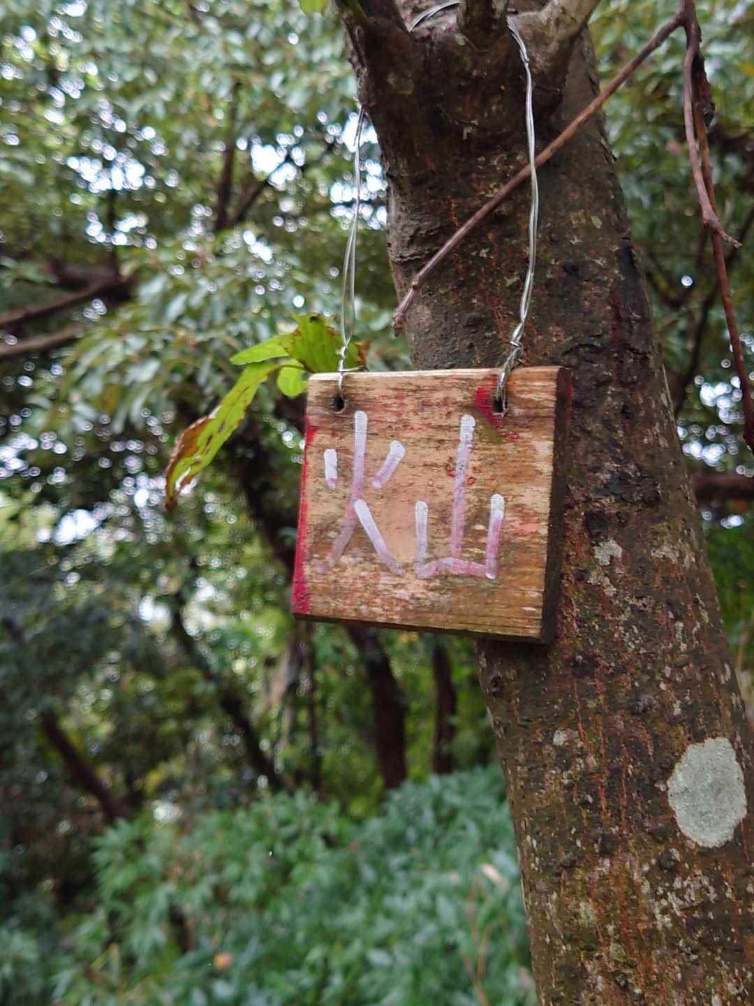 控え目な山頂表示。