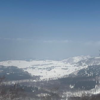 キャットツアーで有名な光ヶ原。