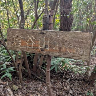 倉谷山山頂から眺めは見られません