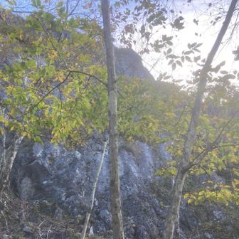 こっから東岳へ
やはり二子山といえば西だろって方は
これ見てね↓一般ルートだが🙇

https://yamap.com/activities/48030912