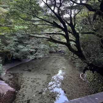 水が綺麗