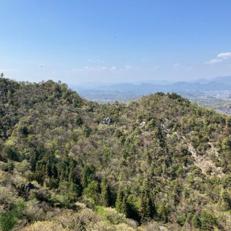 大岩山から大日向山への稜線👀