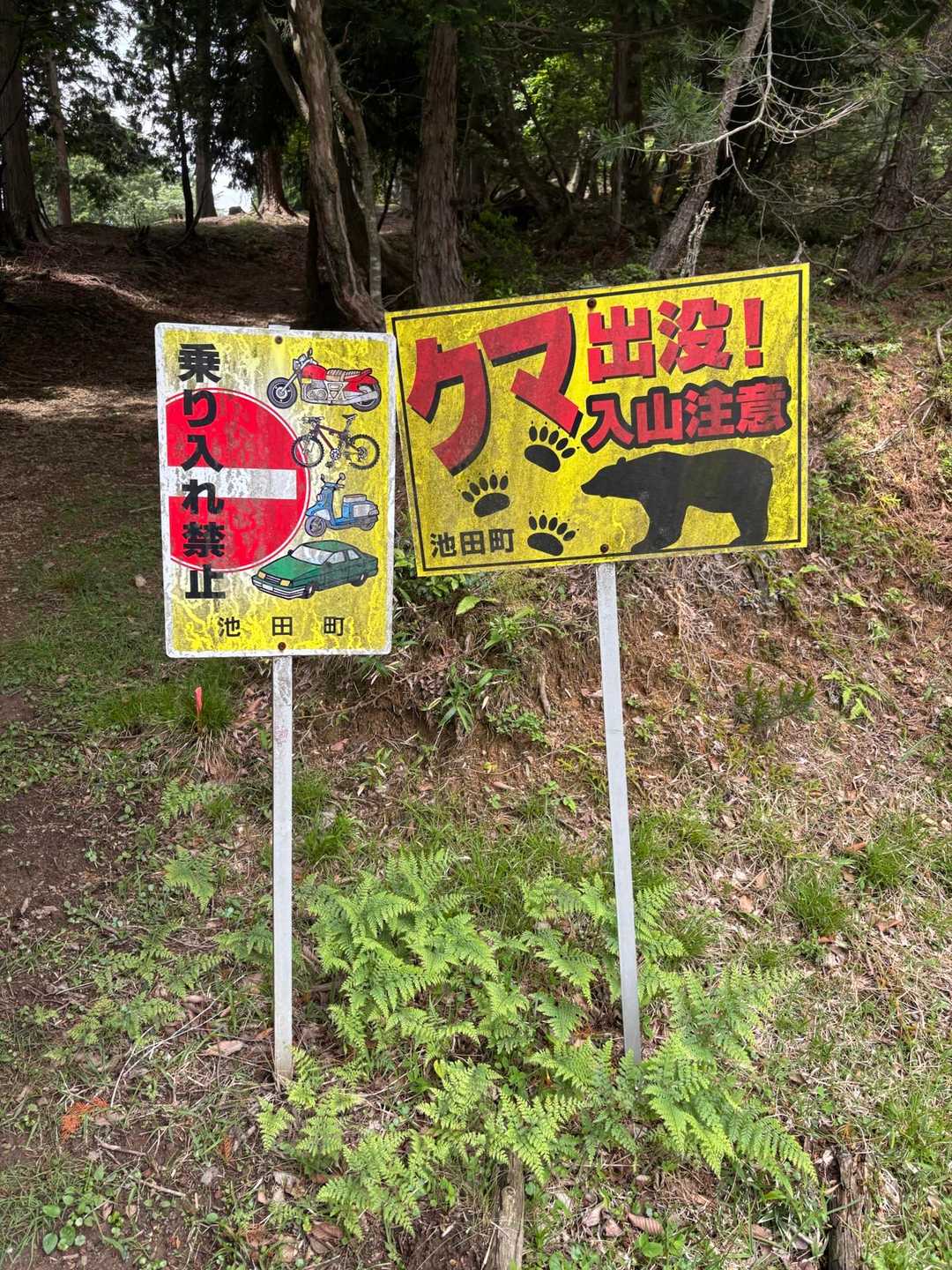 熊注意