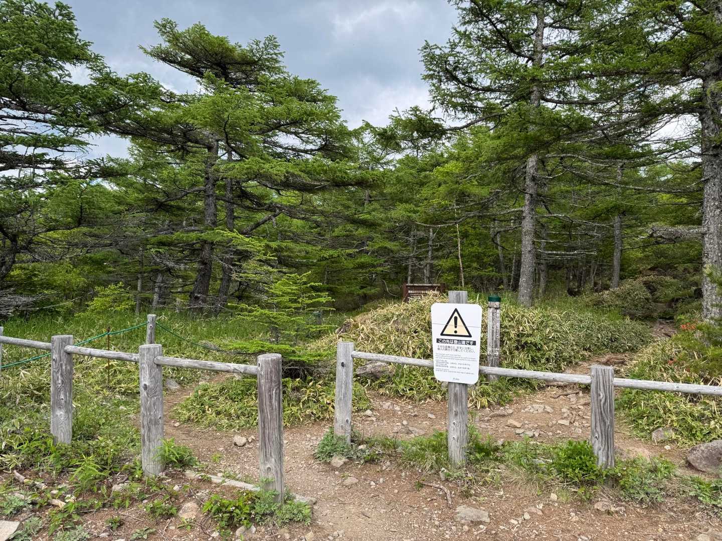 登山口に戻ってきました♪今日も楽しい山行をありがとうございました😄